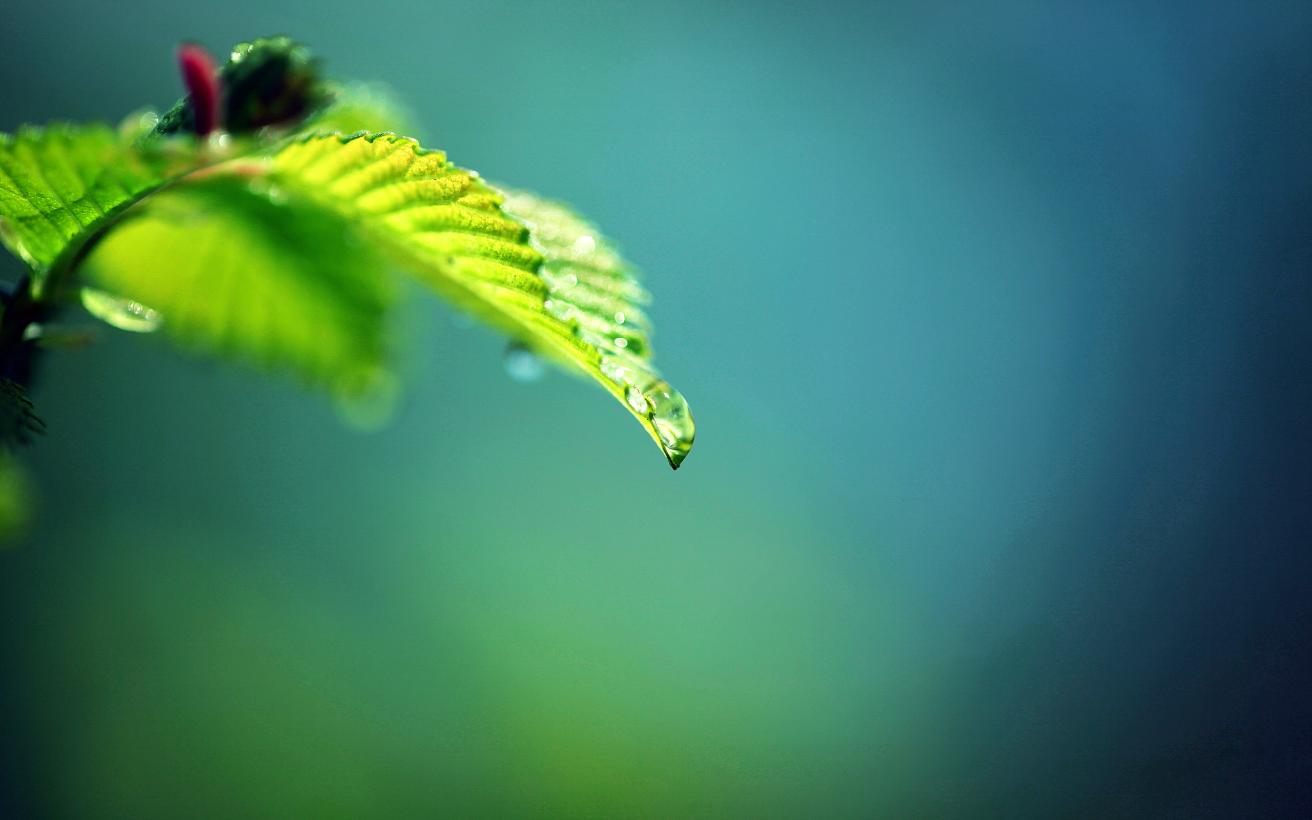 小清新,清爽,温馨,护眼壁纸,儿童桌面专用