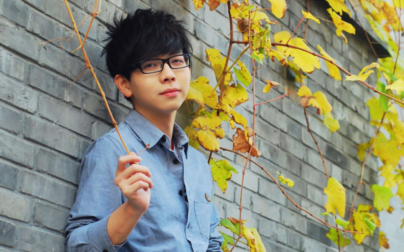 明星,内地明星,男明星,星光大道,胡夏