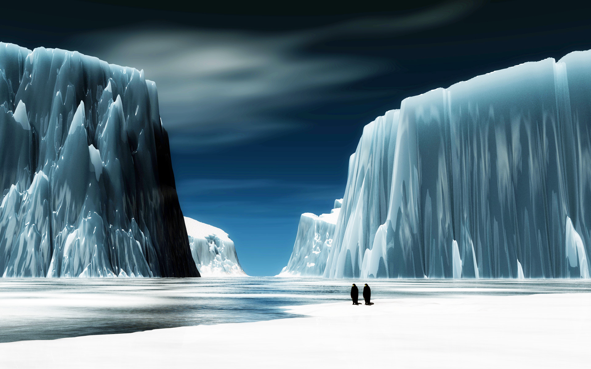 萌宠,动物,可爱,萌物,野生动物,企鹅,极地物种,美丽画面,儿童桌面专用