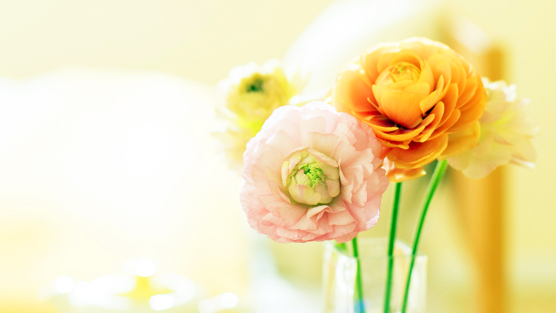 小清新,清爽,鸟语花香,儿童桌面专用