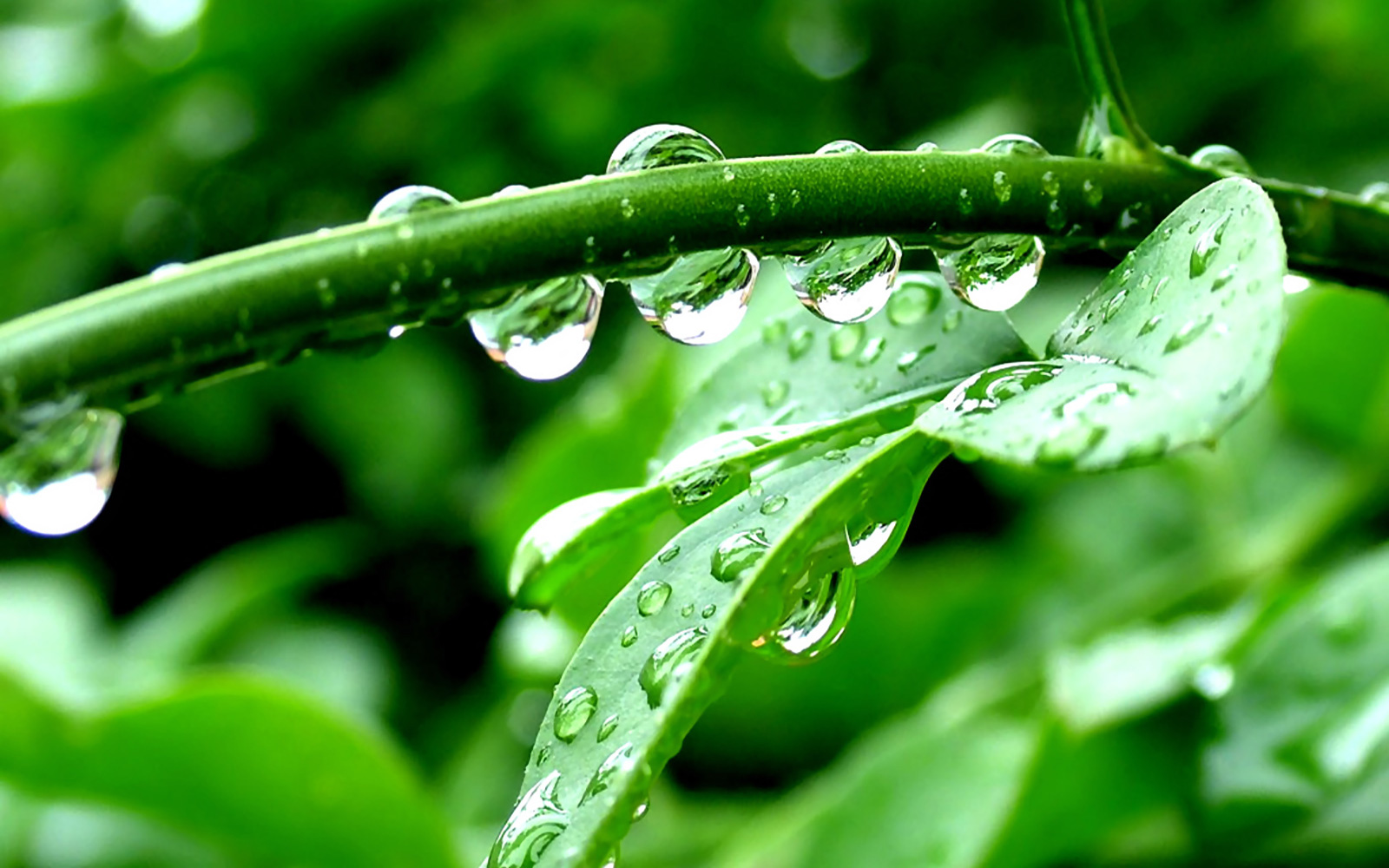 小清新,清爽,温馨,护眼壁纸,儿童桌面专用