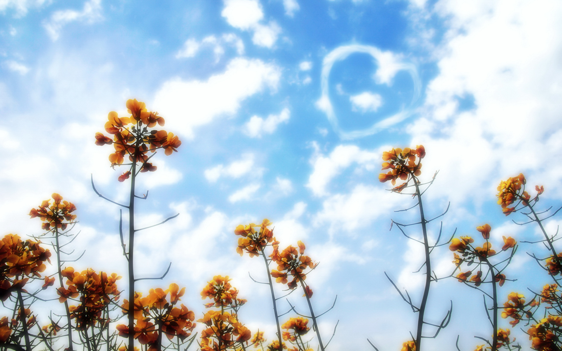 风景,蓝天白云,儿童桌面专用