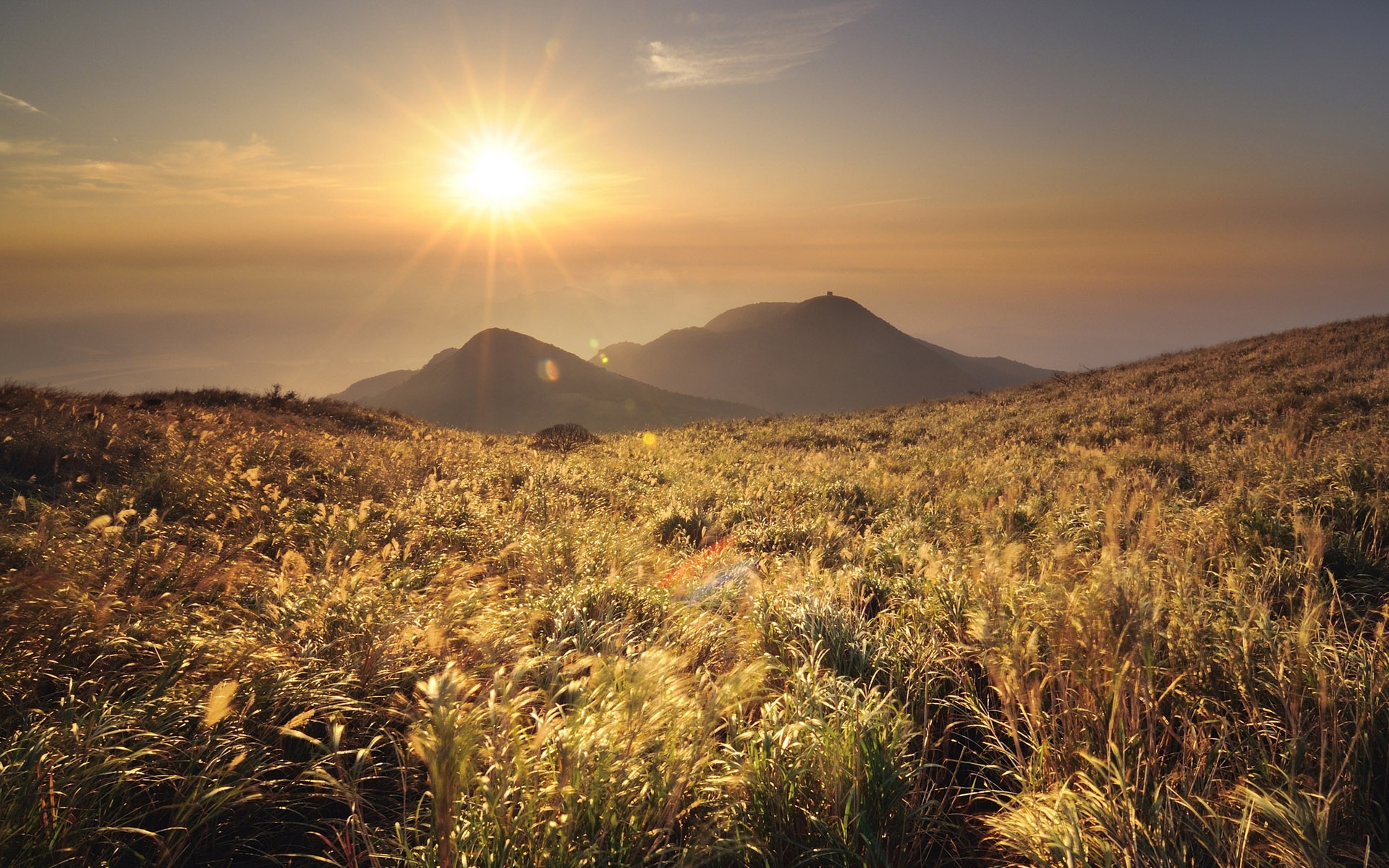 风景,秋意正浓,儿童桌面专用