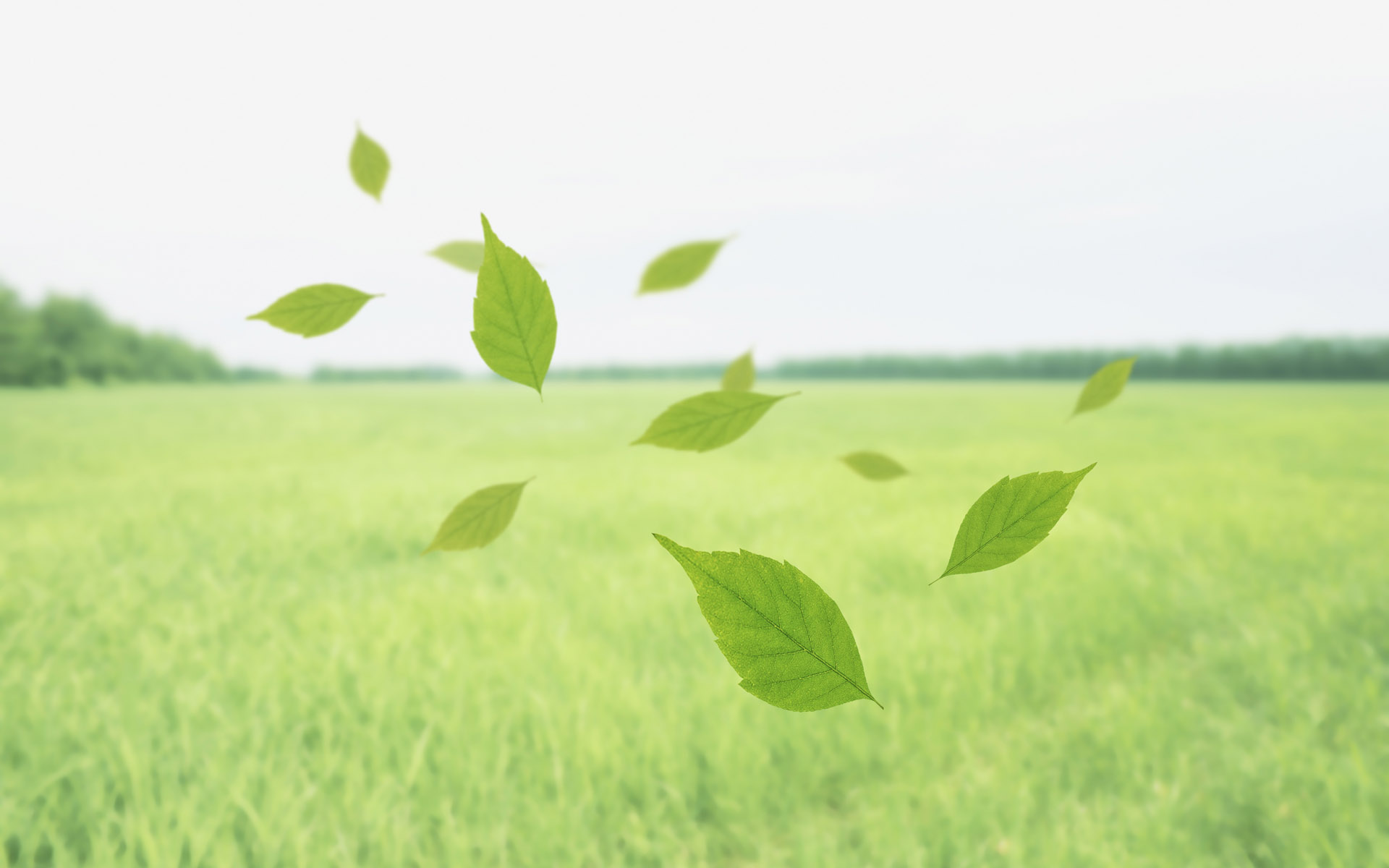 小清新,清爽,温馨,护眼壁纸,儿童桌面专用