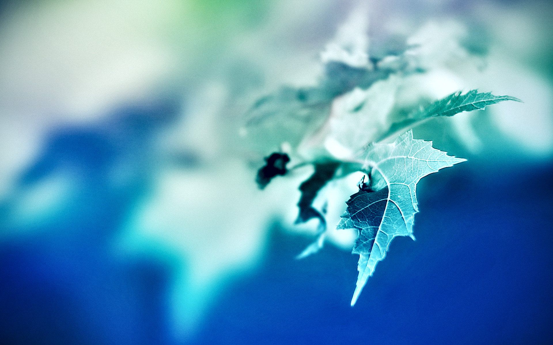 小清新,清爽,温馨,护眼壁纸,儿童桌面专用