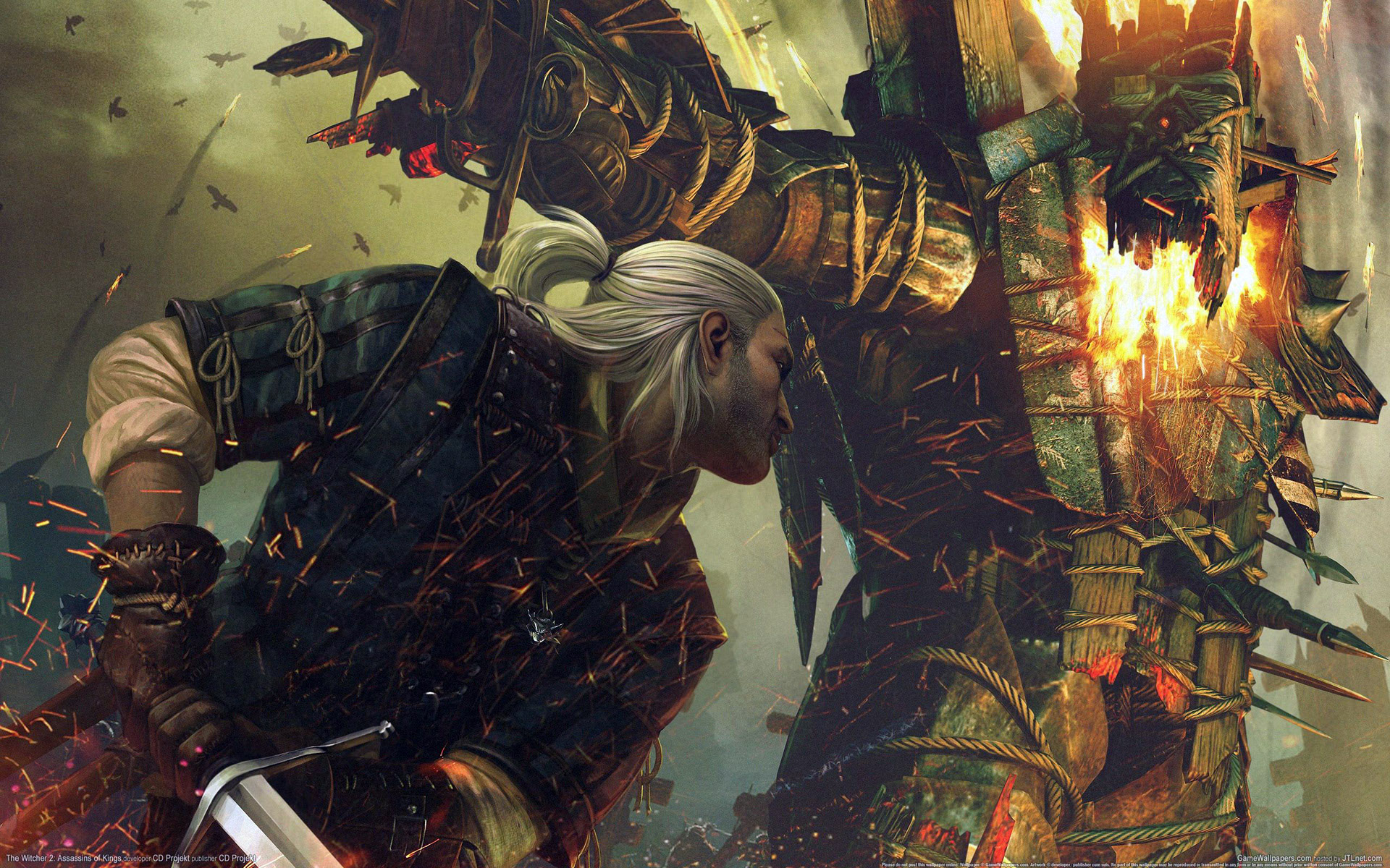 游戏,巫师2,动作射击,角色扮演