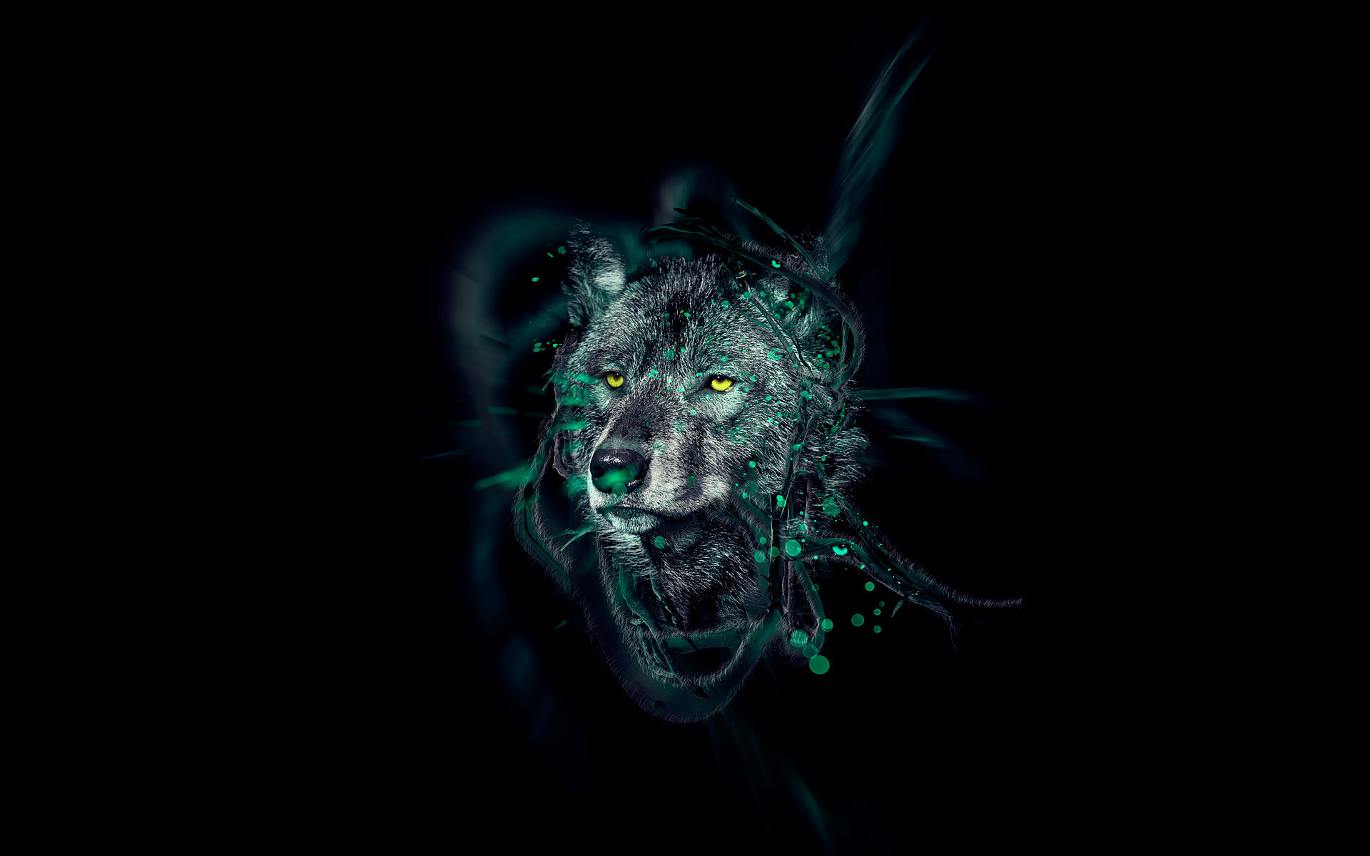 萌宠,动物,可爱,野生动物,儿童桌面专用