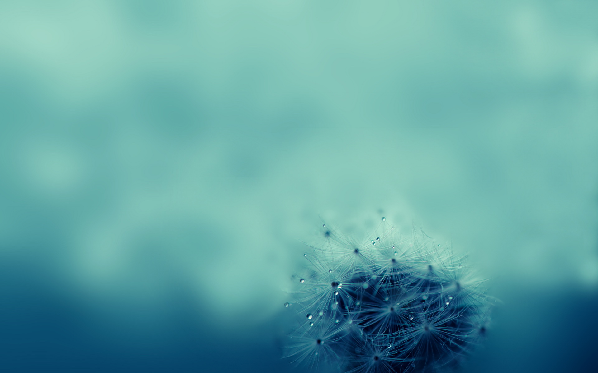 小清新,清爽,温馨,护眼壁纸,儿童桌面专用