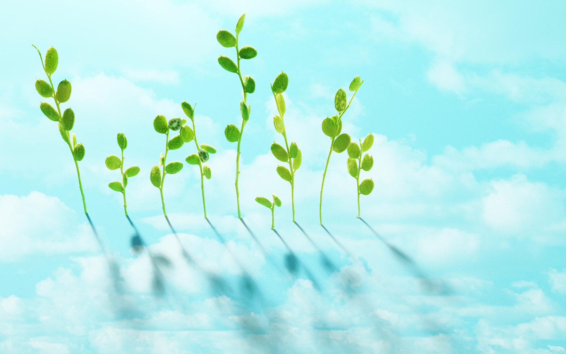 小清新,清爽,温馨,护眼壁纸,儿童桌面专用