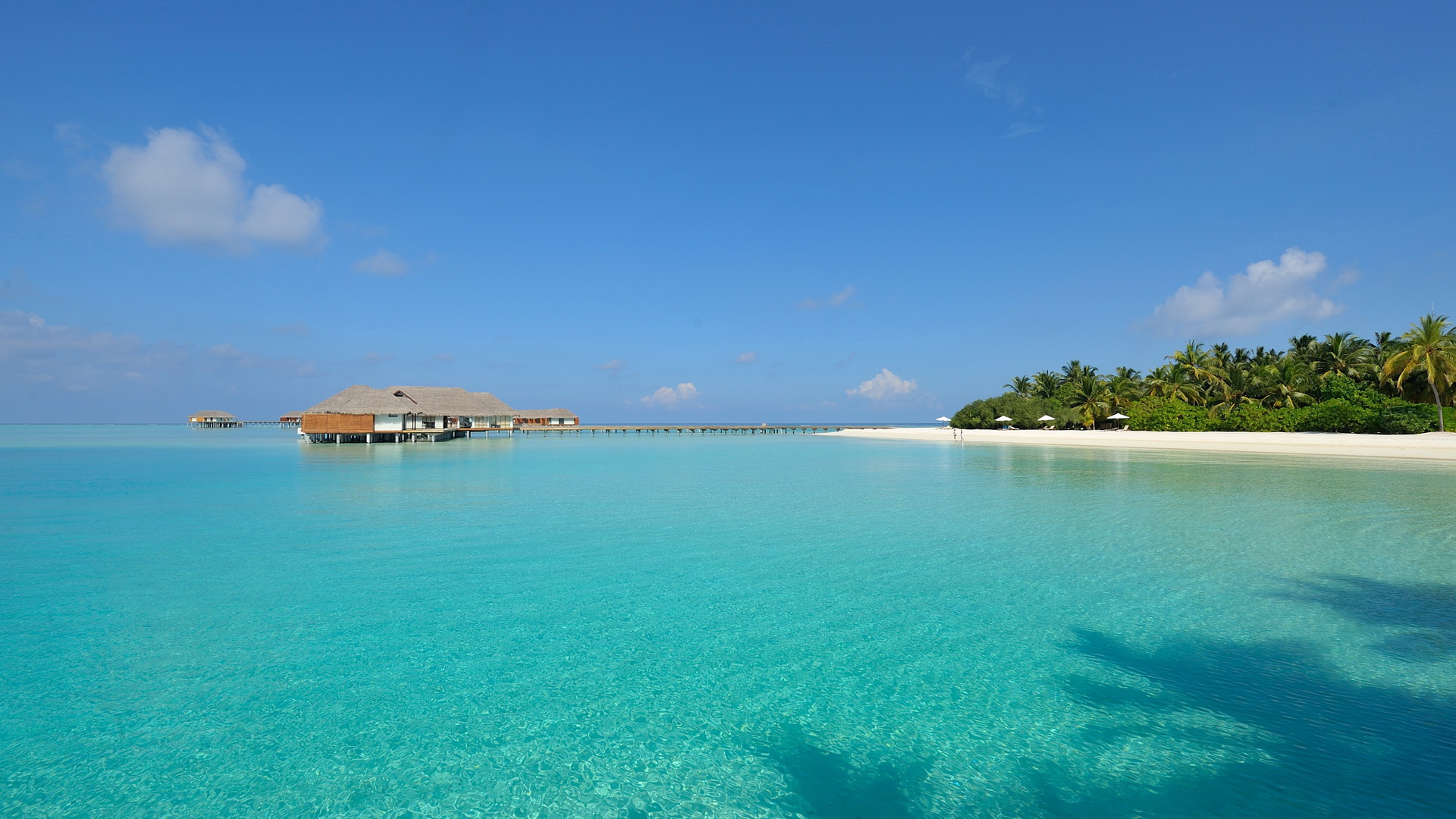 风景,旅游胜地,海滩,马尔代夫,儿童桌面专用