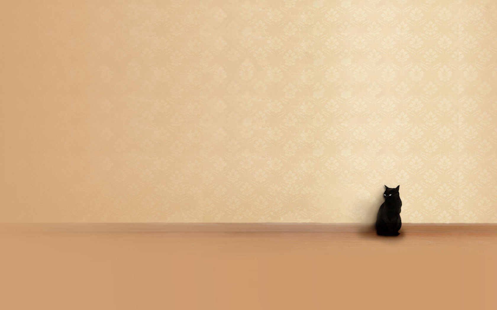 萌宠,动物,可爱,宠物,喵星人,儿童桌面专用