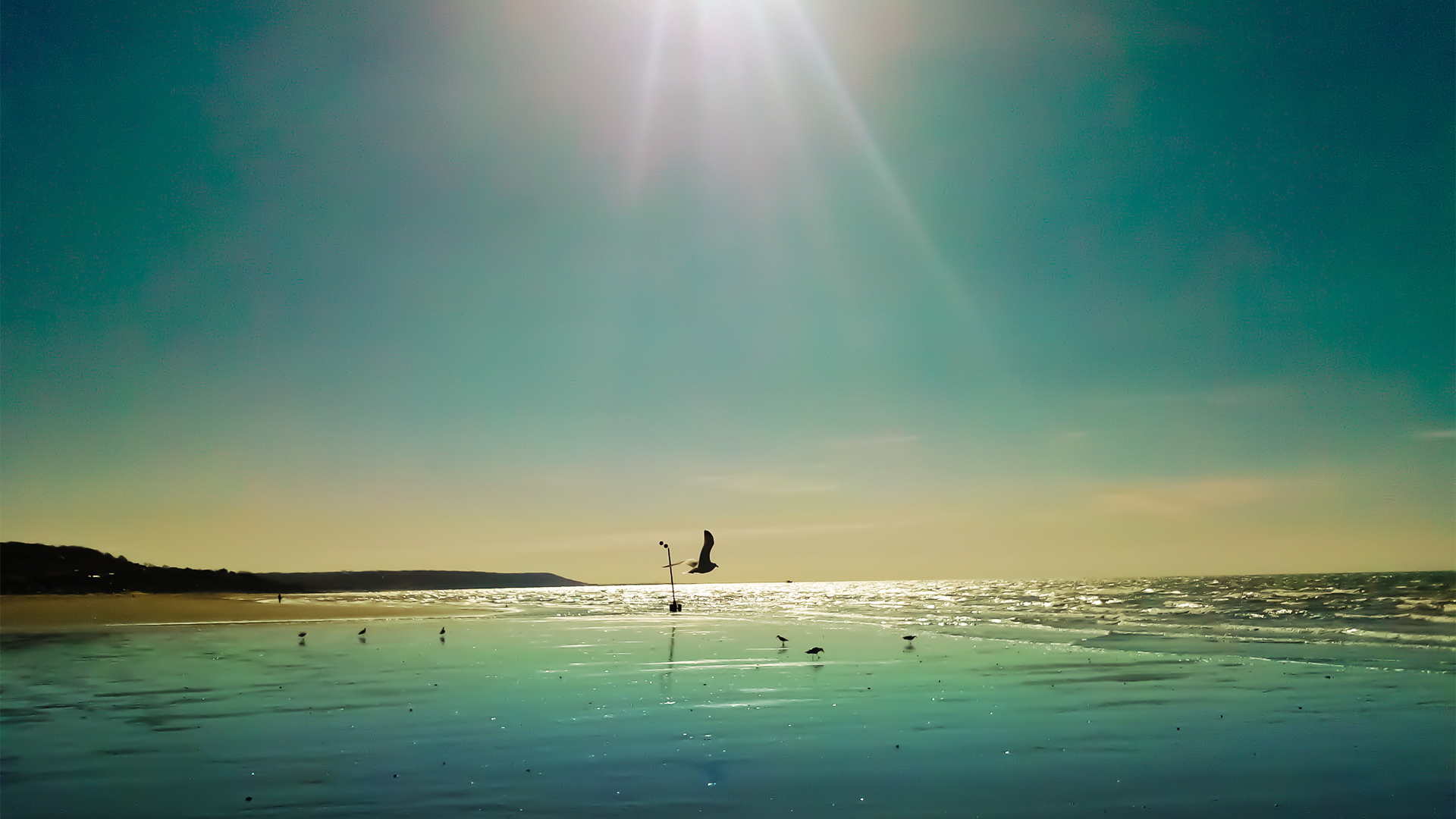 风景,风光,景观,海洋天堂,儿童桌面专用