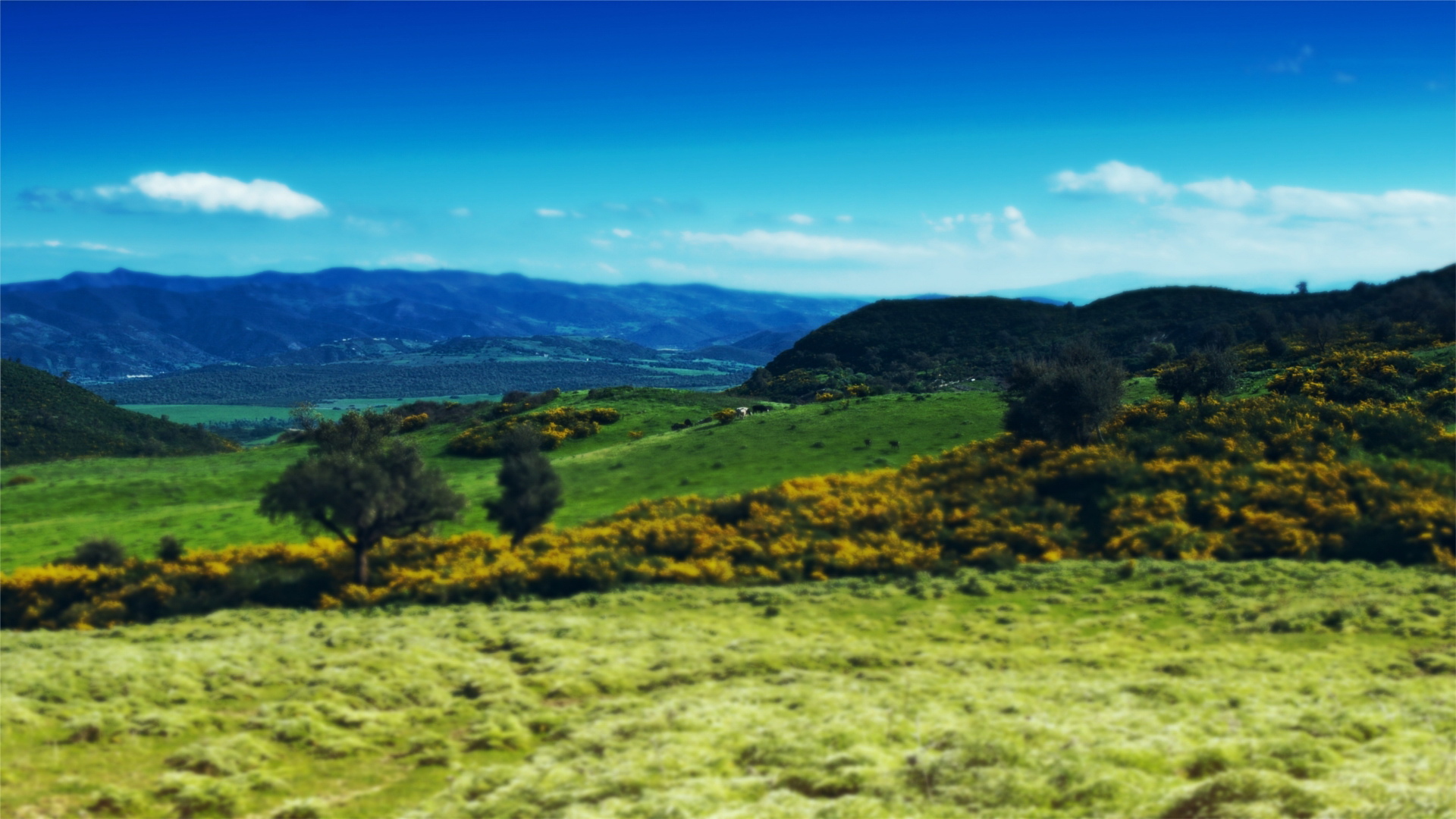 风景,风光,景观,碧绿草原,儿童桌面专用