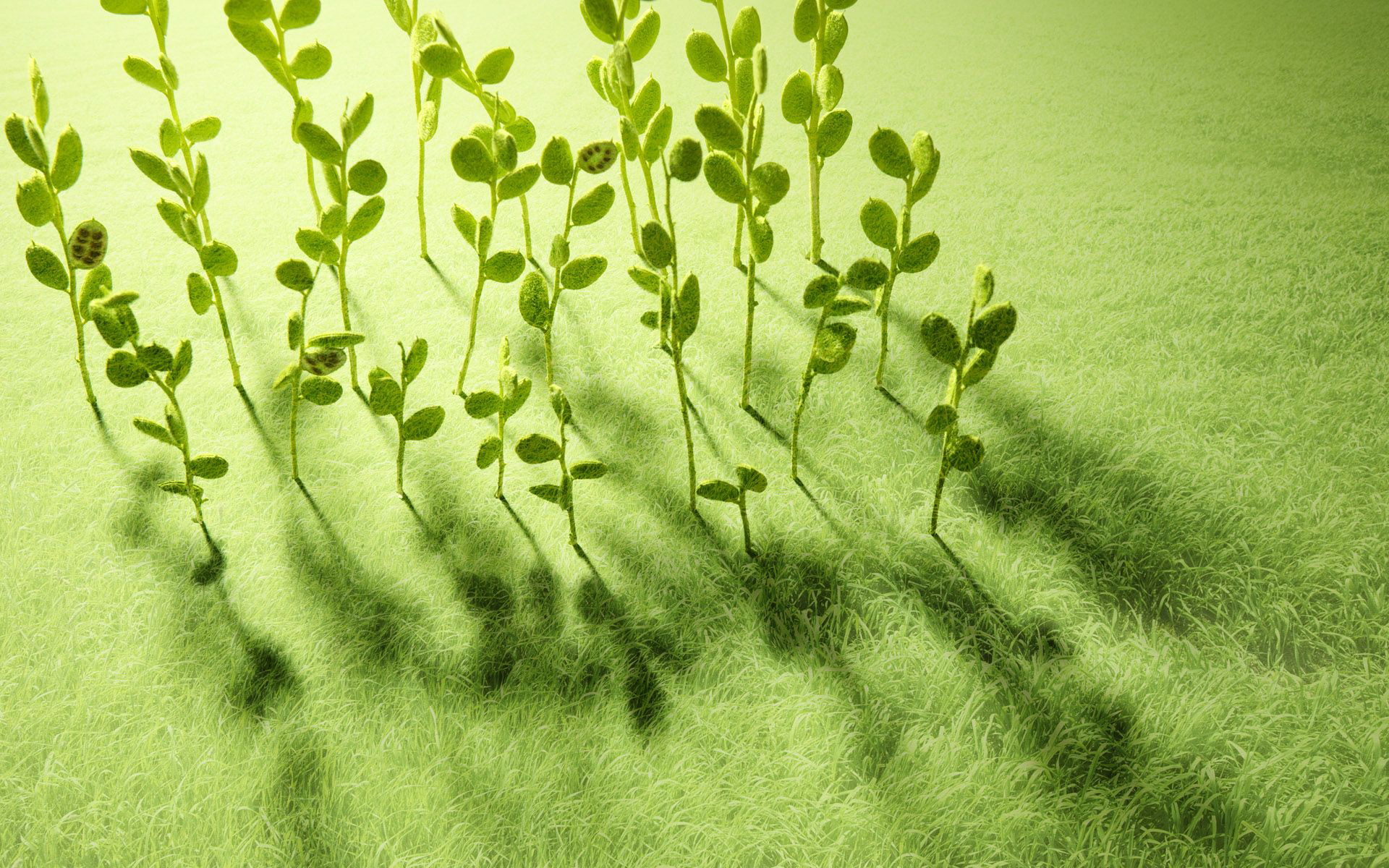 小清新,清爽,温馨,护眼壁纸,儿童桌面专用