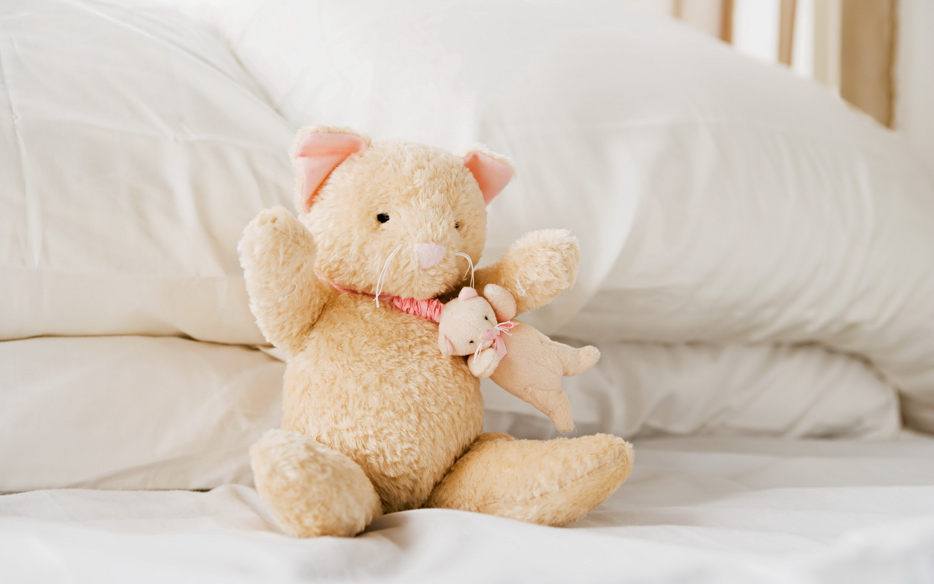 创意,设计,色彩,儿童桌面专用