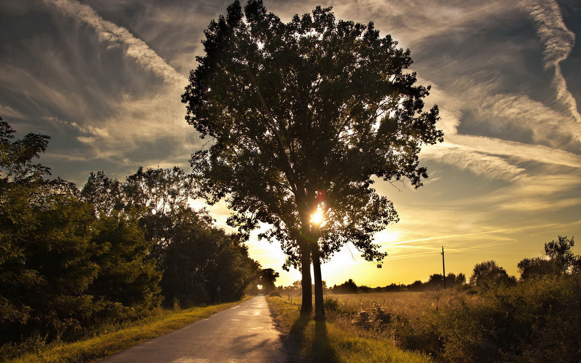 风景,风光,景观,儿童桌面专用,落日余晖