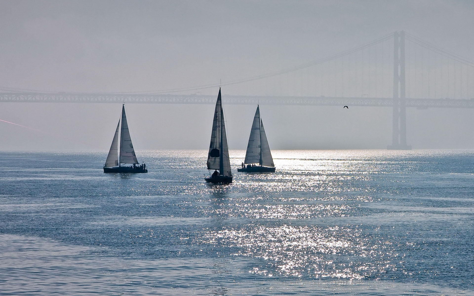 风景,风光,景观,儿童桌面专用,海洋天堂