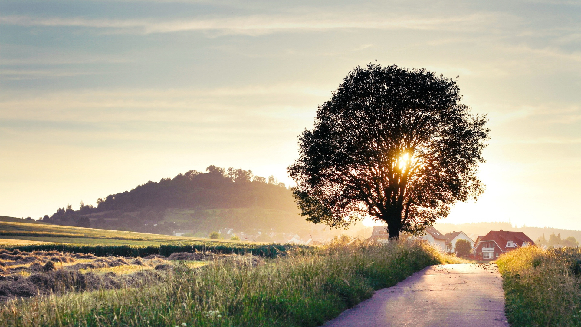 风景,风光,景观,秋意正浓,儿童桌面专用