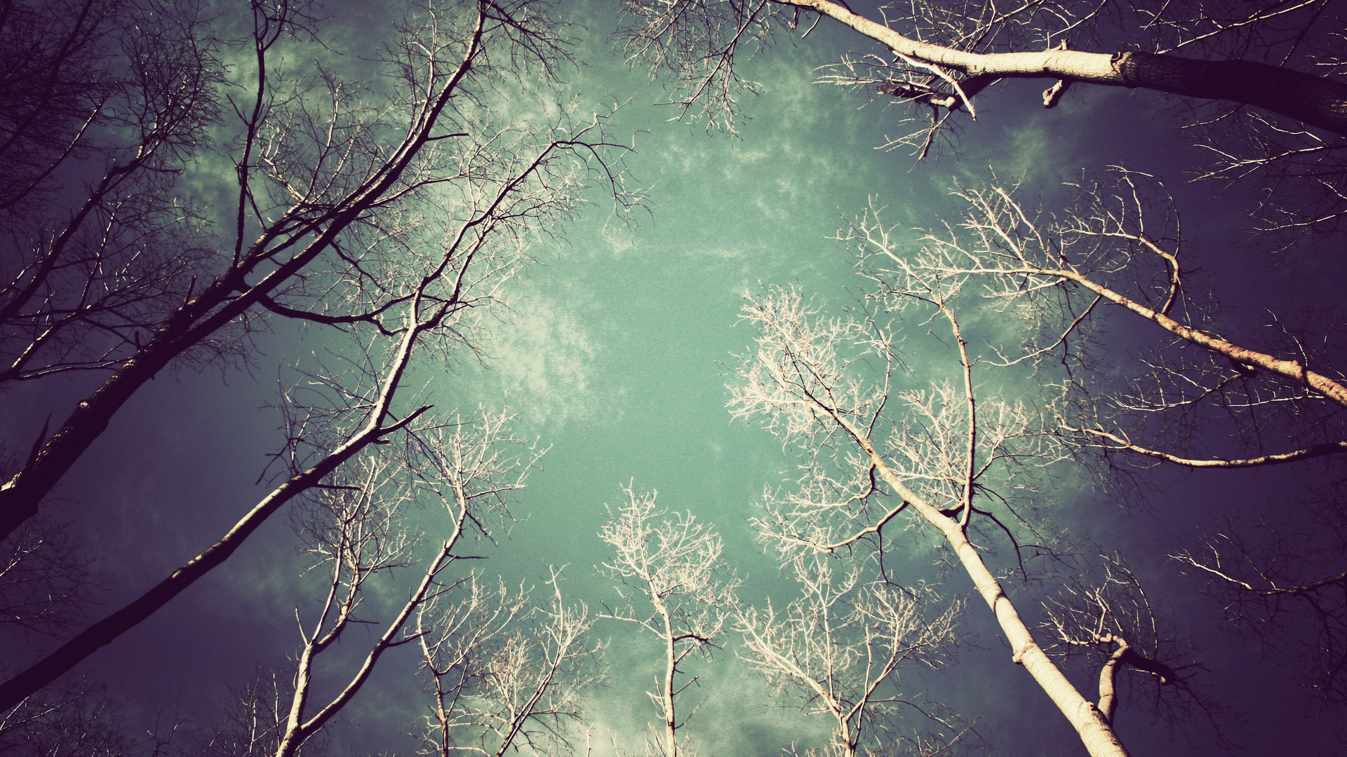 风景,风光,景观,秋意正浓,儿童桌面专用