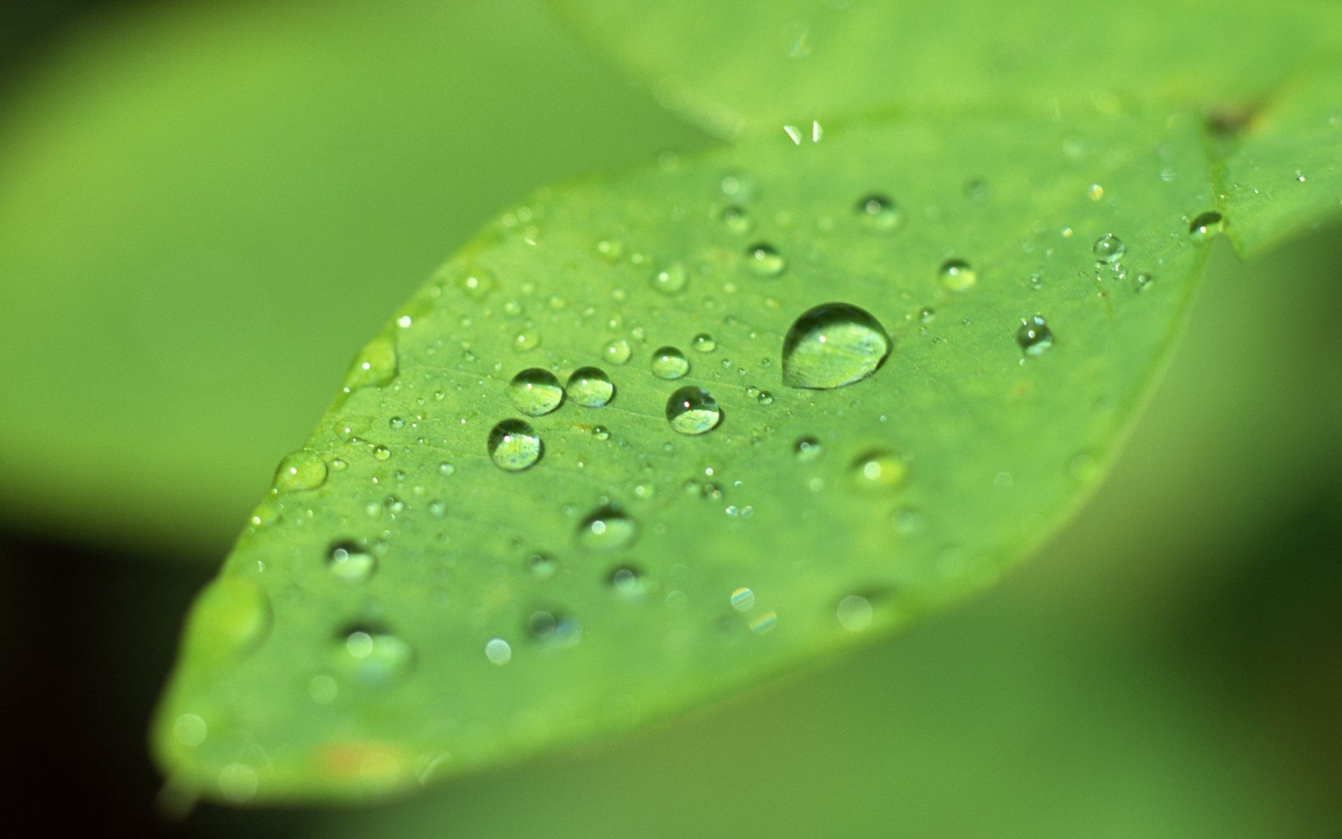 小清新,清爽,护眼壁纸,儿童桌面专用