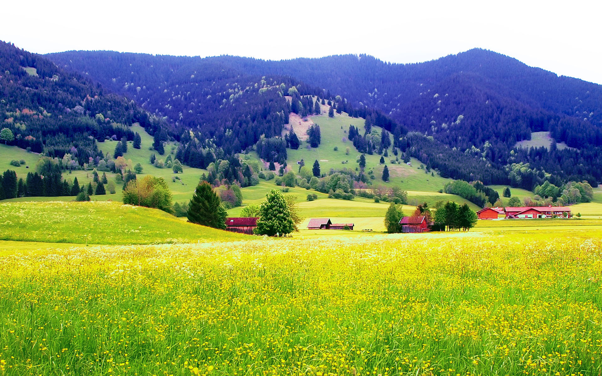 风景,风光,景观,儿童桌面专用,春意盎然