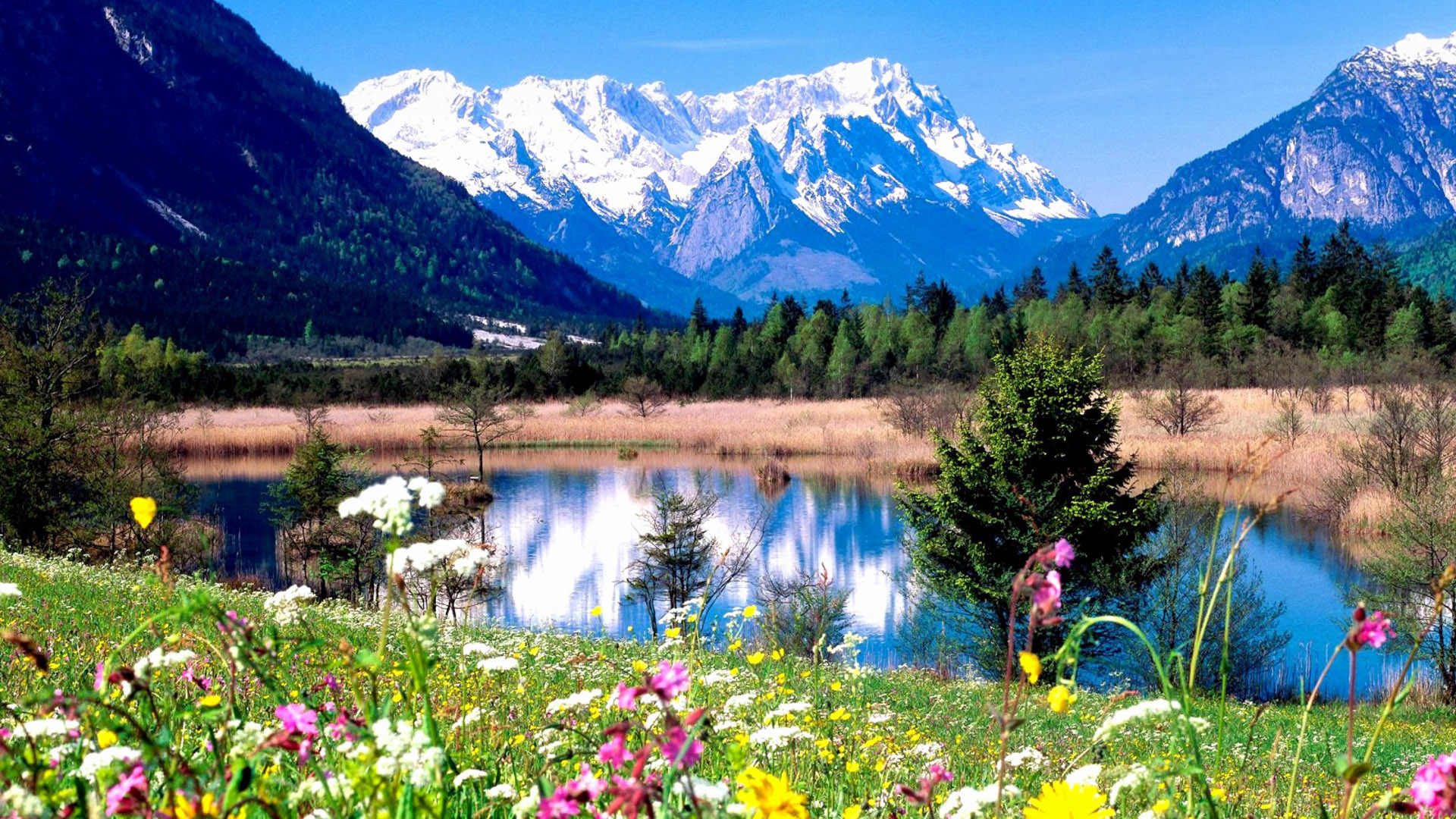 风景,风光,景观,儿童桌面专用,春意盎然