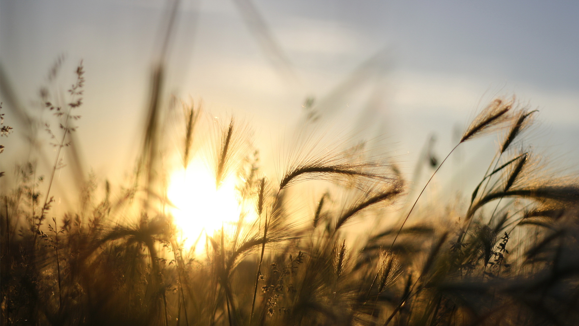 风景,风光,景观,秋意正浓,儿童桌面专用