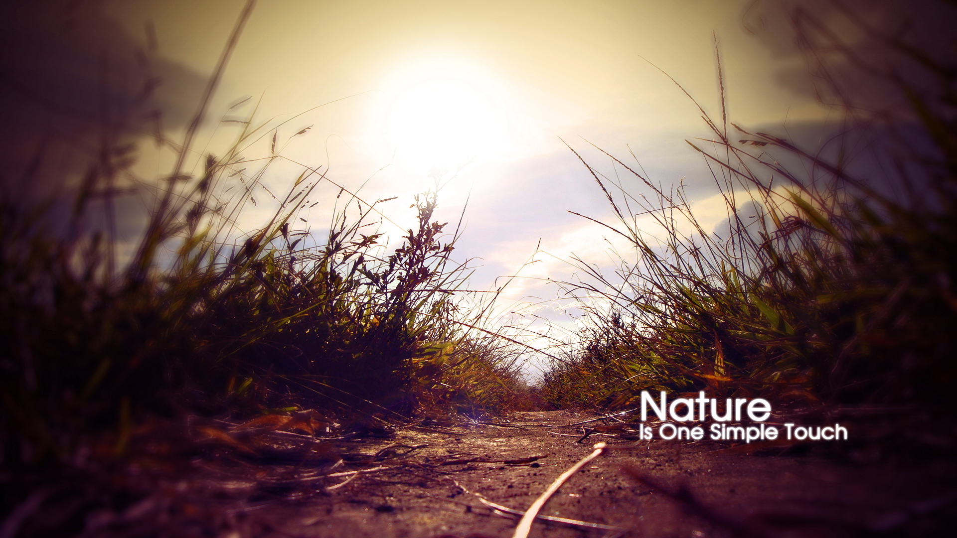 风景,风光,景观,儿童桌面专用,秋意正浓