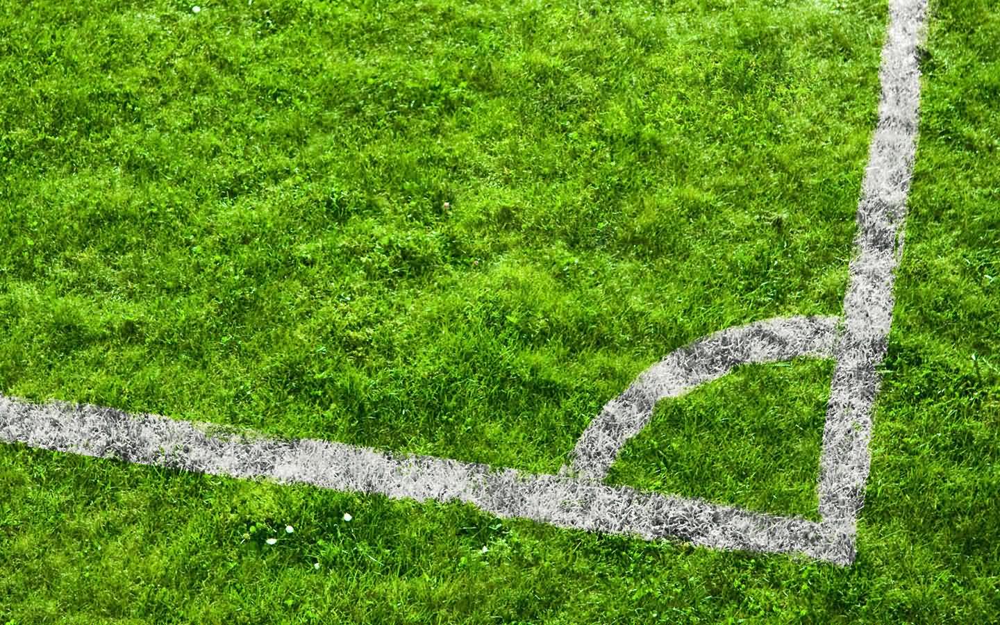 欧洲杯,六月十二日,足球馆,草地,绿茵场,角