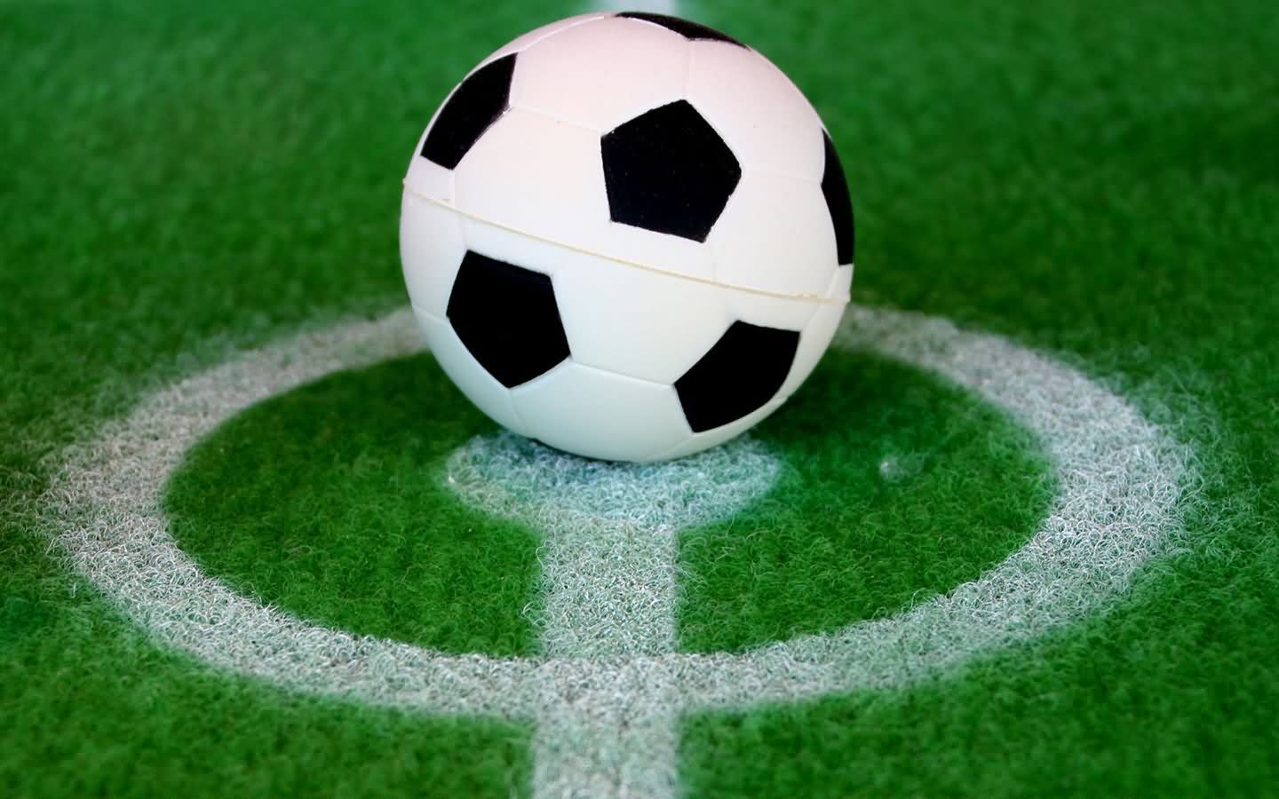 欧洲杯,六月十二日,足球馆,草地,绿茵场