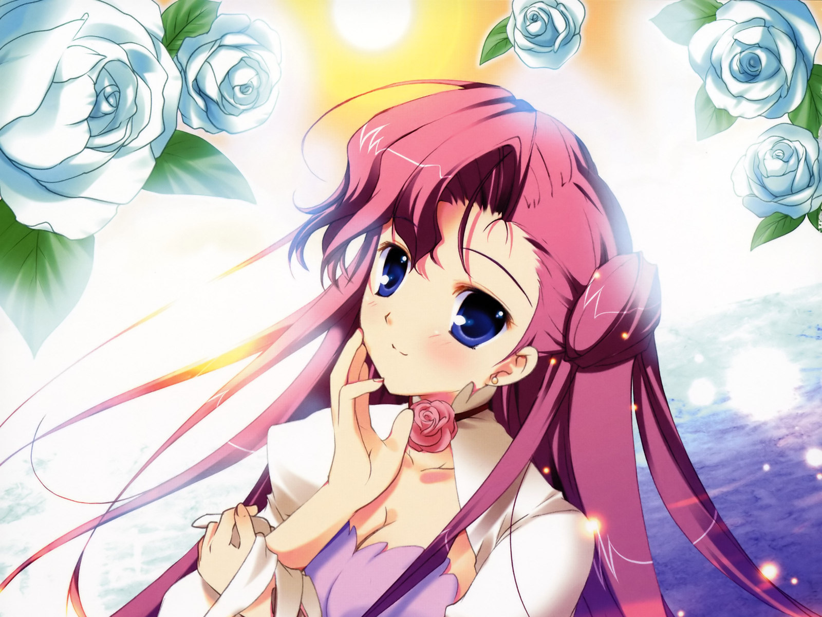 鲁路修,动漫,日本,CG,漫画,七月三十一日,儿童桌面专用