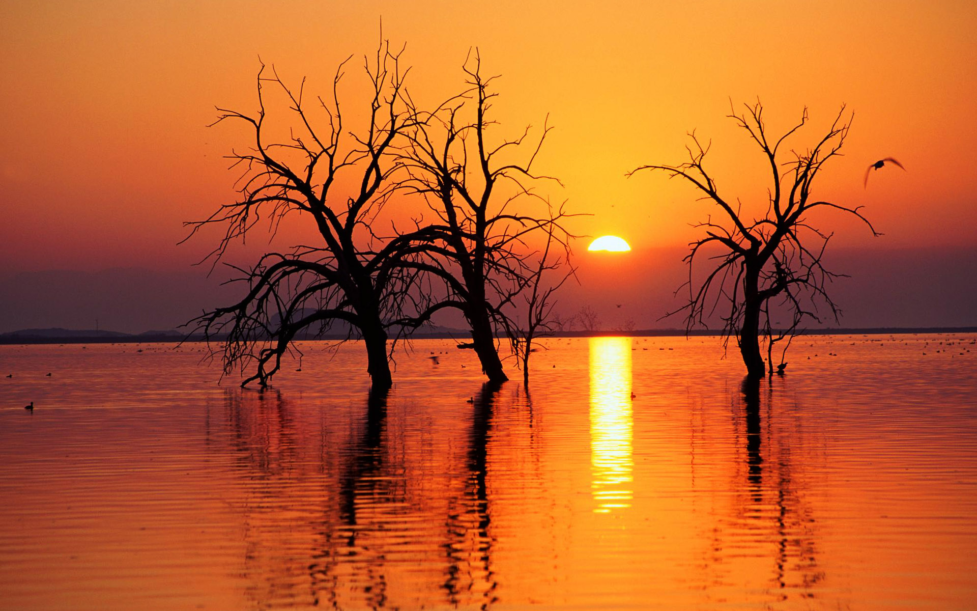 风景,日落,七月三日,落日余晖,mlgb,儿童桌面专用