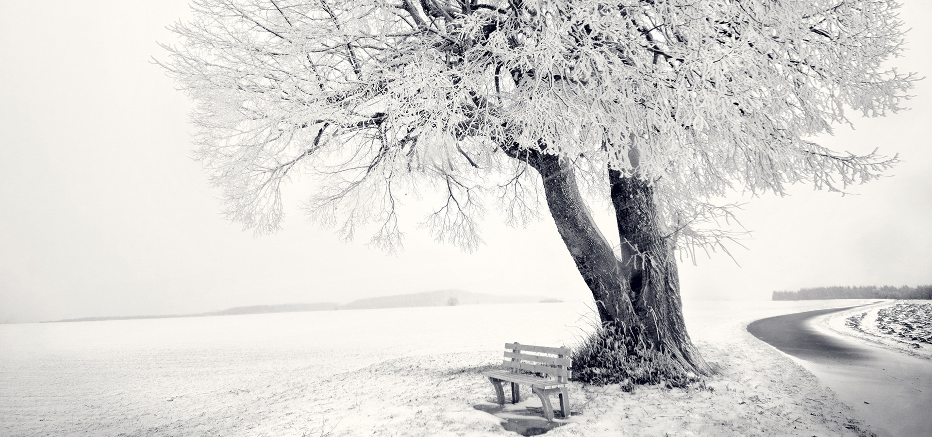 超宽,全景,风景,冰天雪地,mlgb,儿童桌面专用