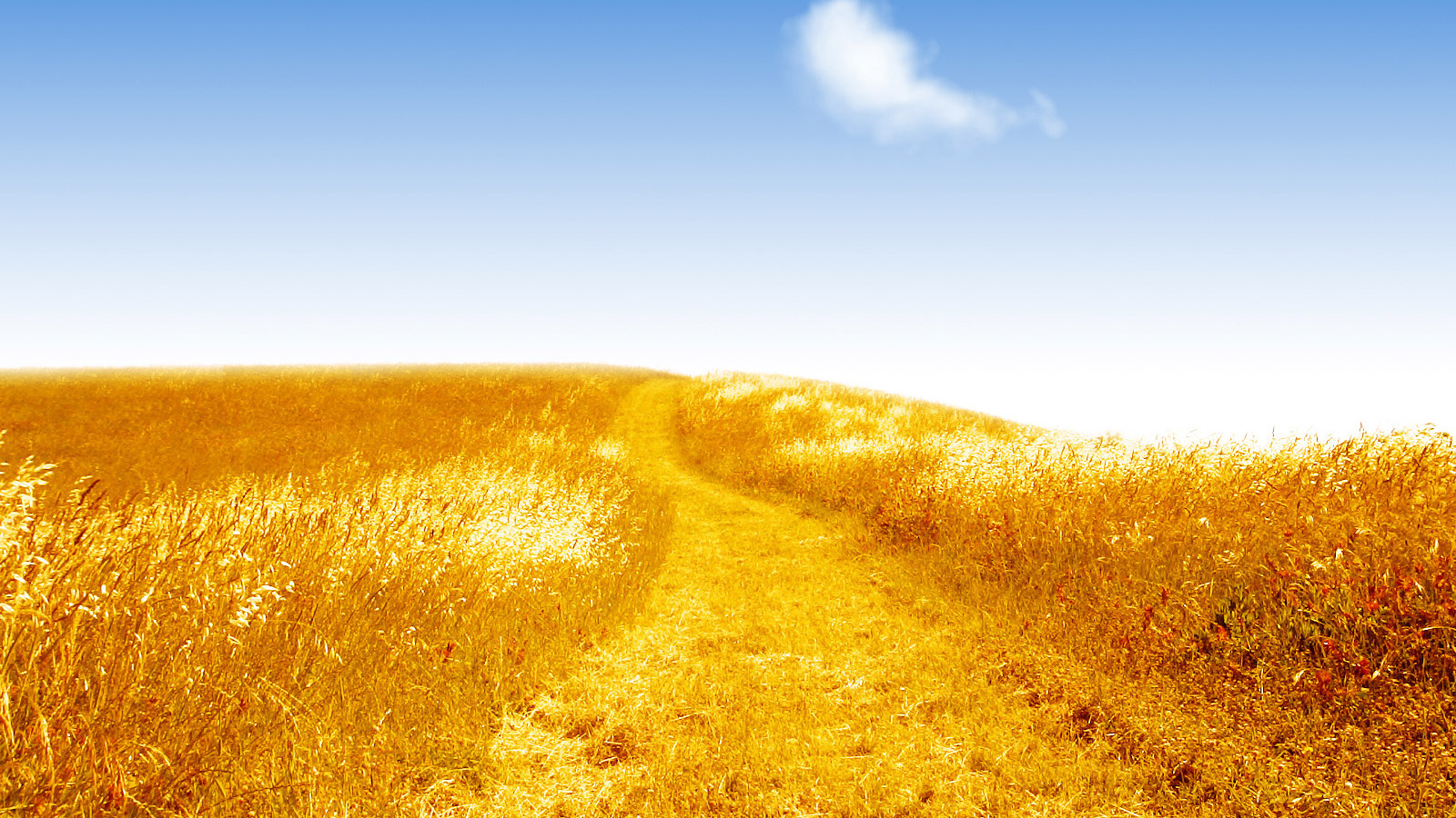 风景,秋意正浓,mlgb,儿童桌面专用