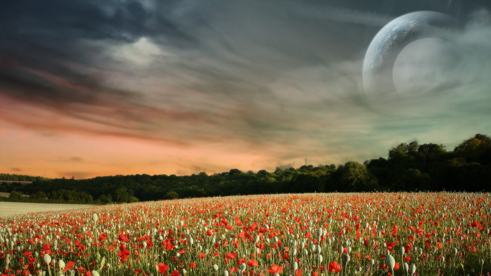 超宽,全景,风景,奇幻梦境,mlgb,儿童桌面专用