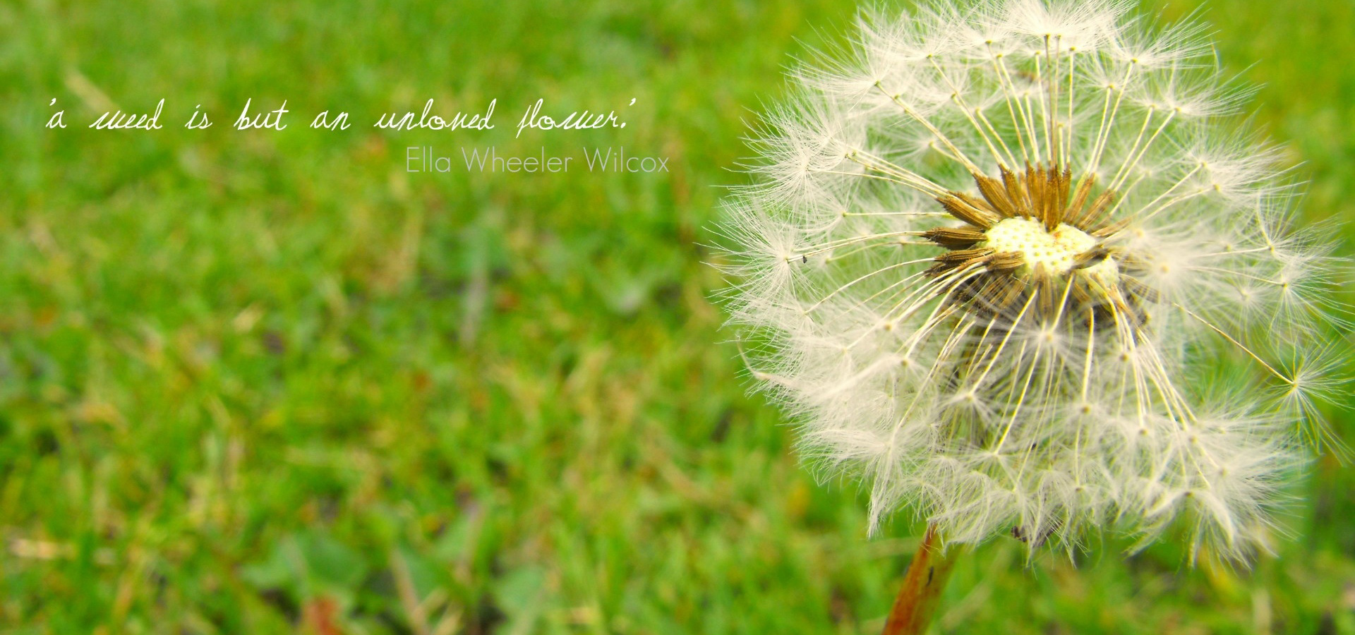 超宽,全景,风景,春意盎然,儿童桌面专用,mlgb