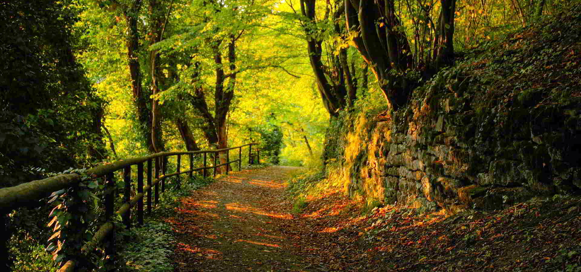 超宽,全景,风景,秋意正浓,mlgb,儿童桌面专用