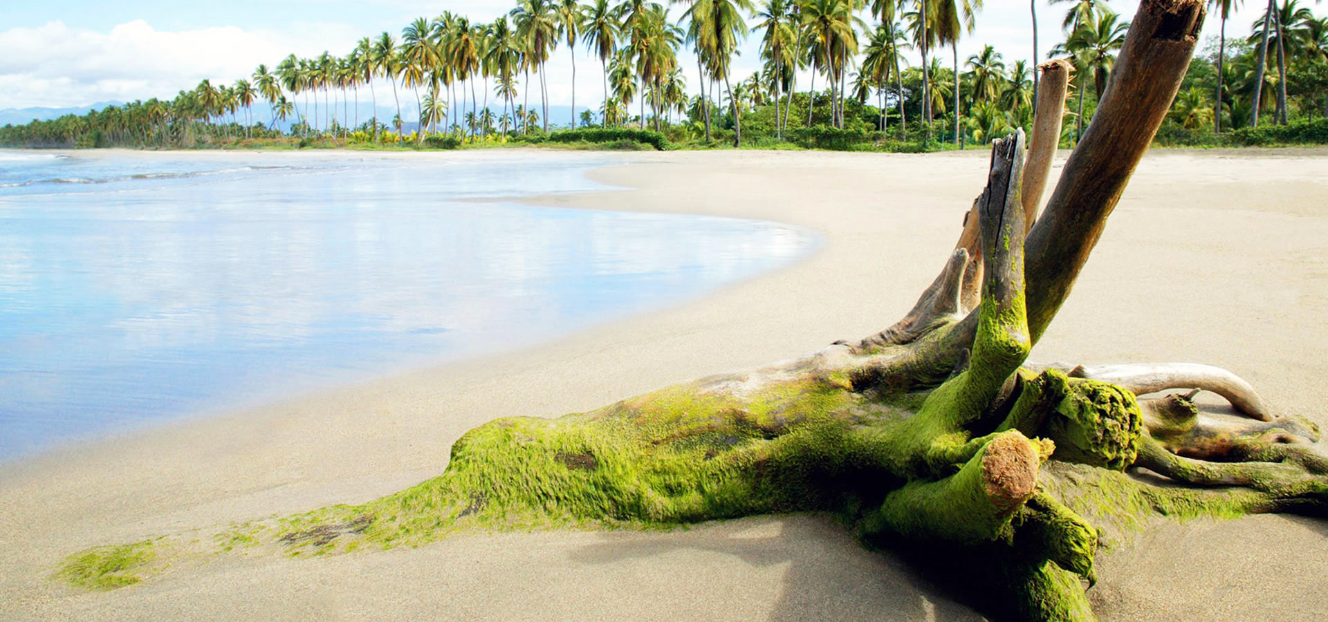 超宽,全景,风景,炎炎夏日,mlgb,被风吹过的沙滩,儿童桌面专用