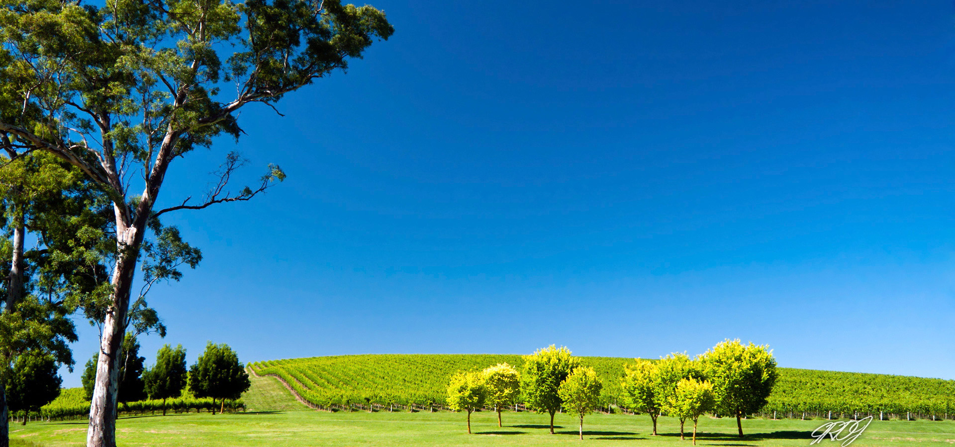 超宽,全景,风景,碧绿草原,mlgb,儿童桌面专用