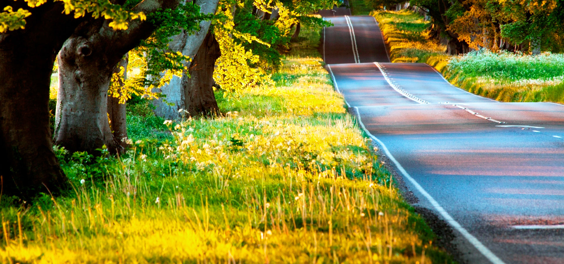 超宽,全景,风景,秋意正浓,mlgb,儿童桌面专用