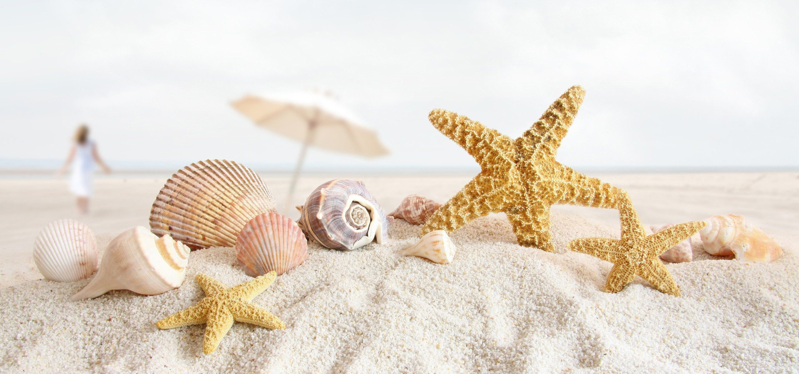 超宽,全景,风景,炎炎夏日,被风吹过的沙滩,儿童桌面专用