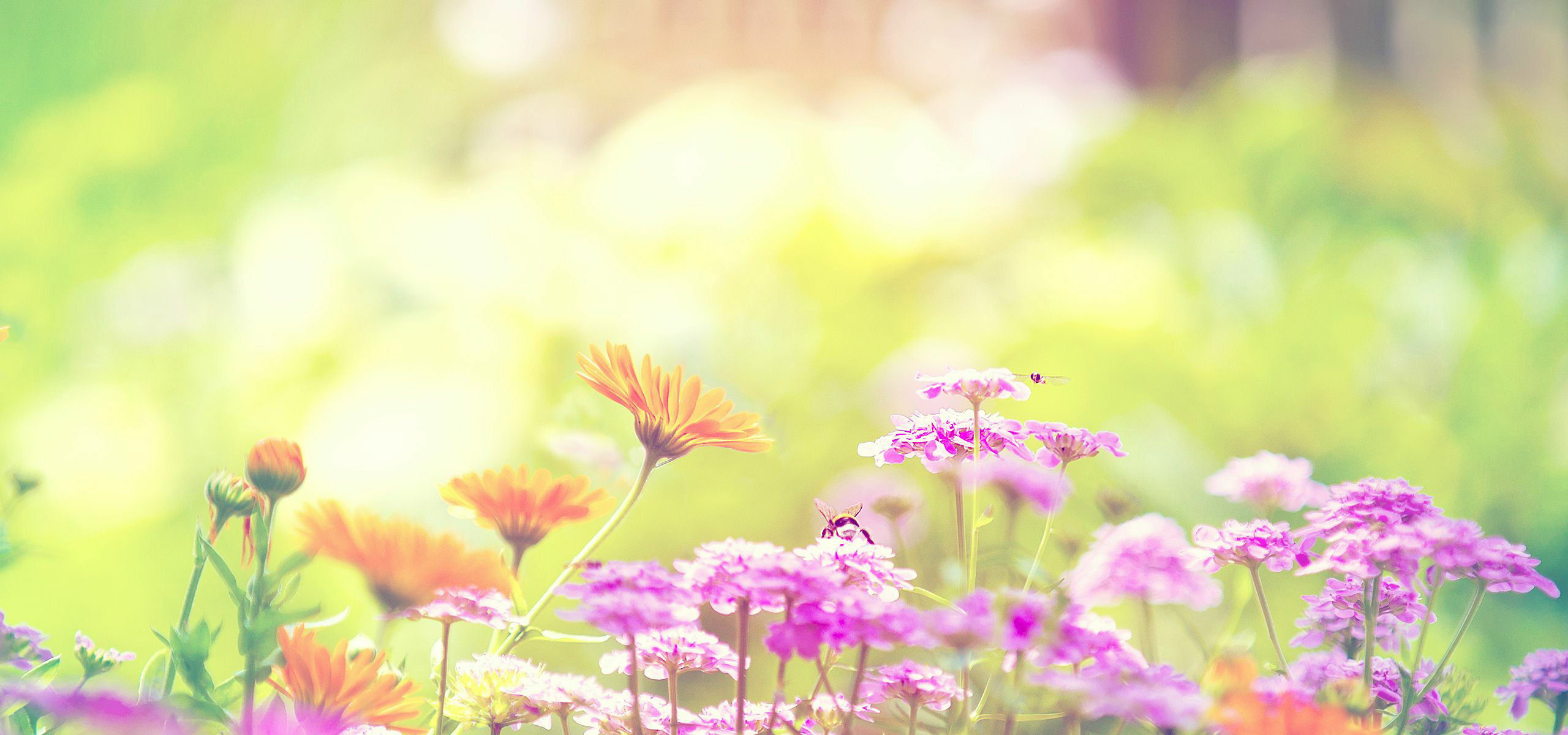 超宽,全景,风景,春意盎然,mlgb,儿童桌面专用