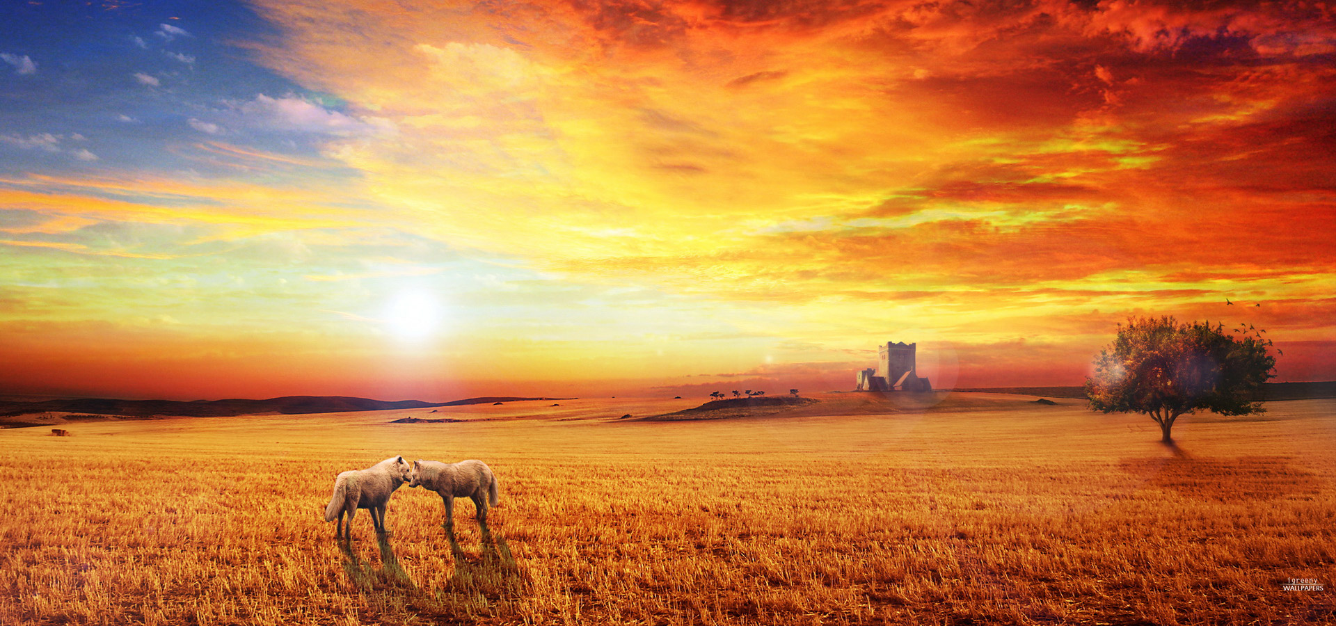 超宽,全景,风景,落日余晖,mlgb,儿童桌面专用