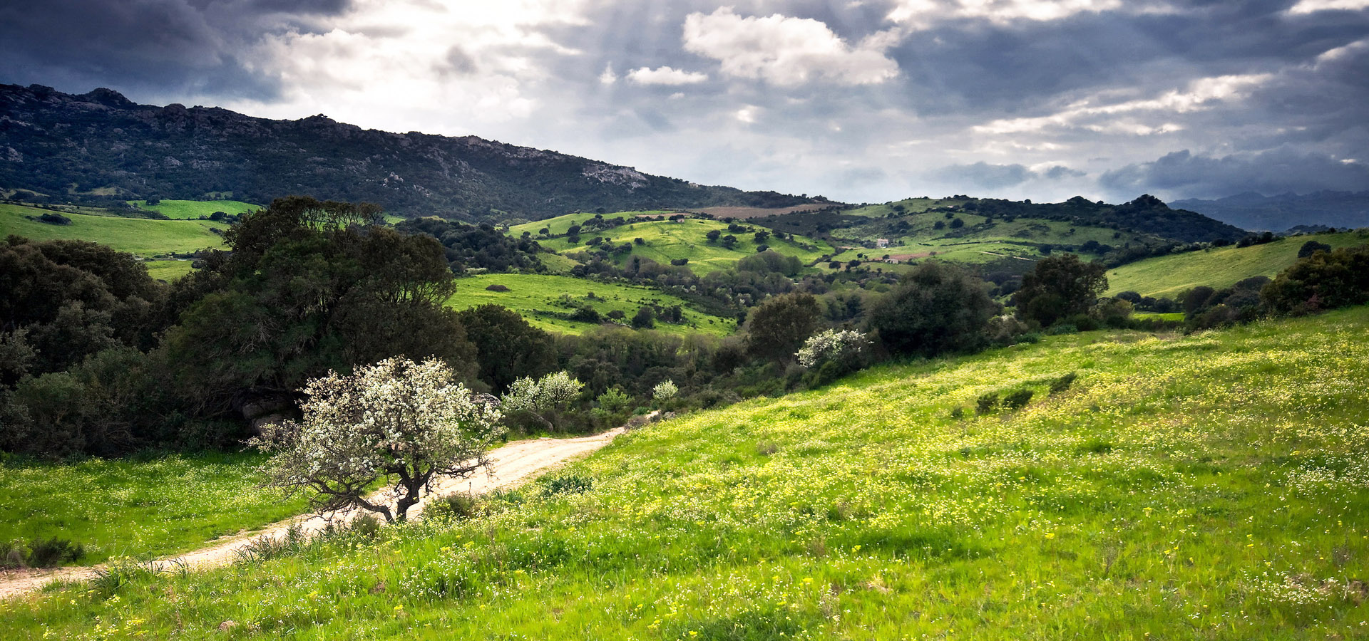 超宽,全景,风景,春意盎然,mlgb,儿童桌面专用