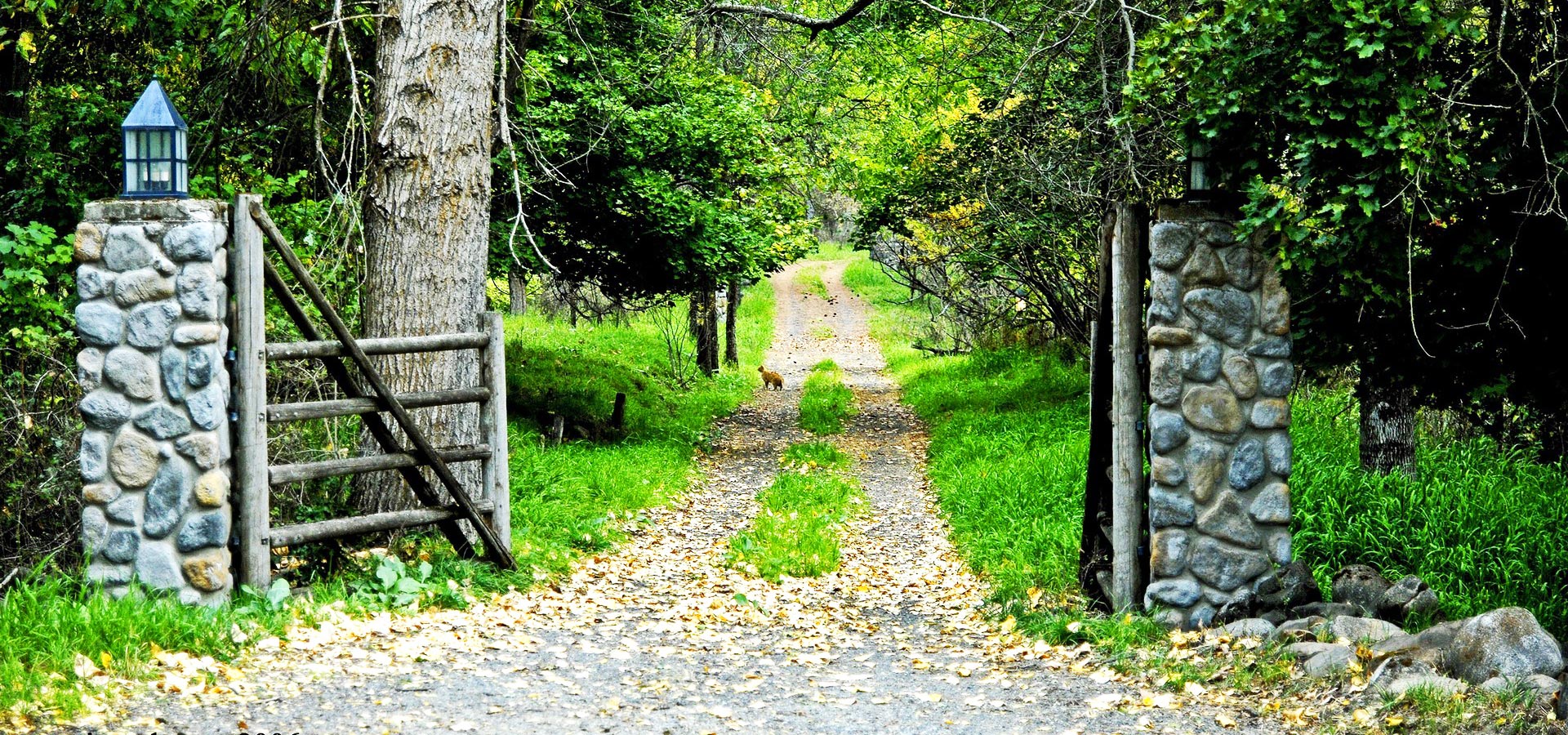 超宽,全景,风景,春意盎然,mlgb,儿童桌面专用