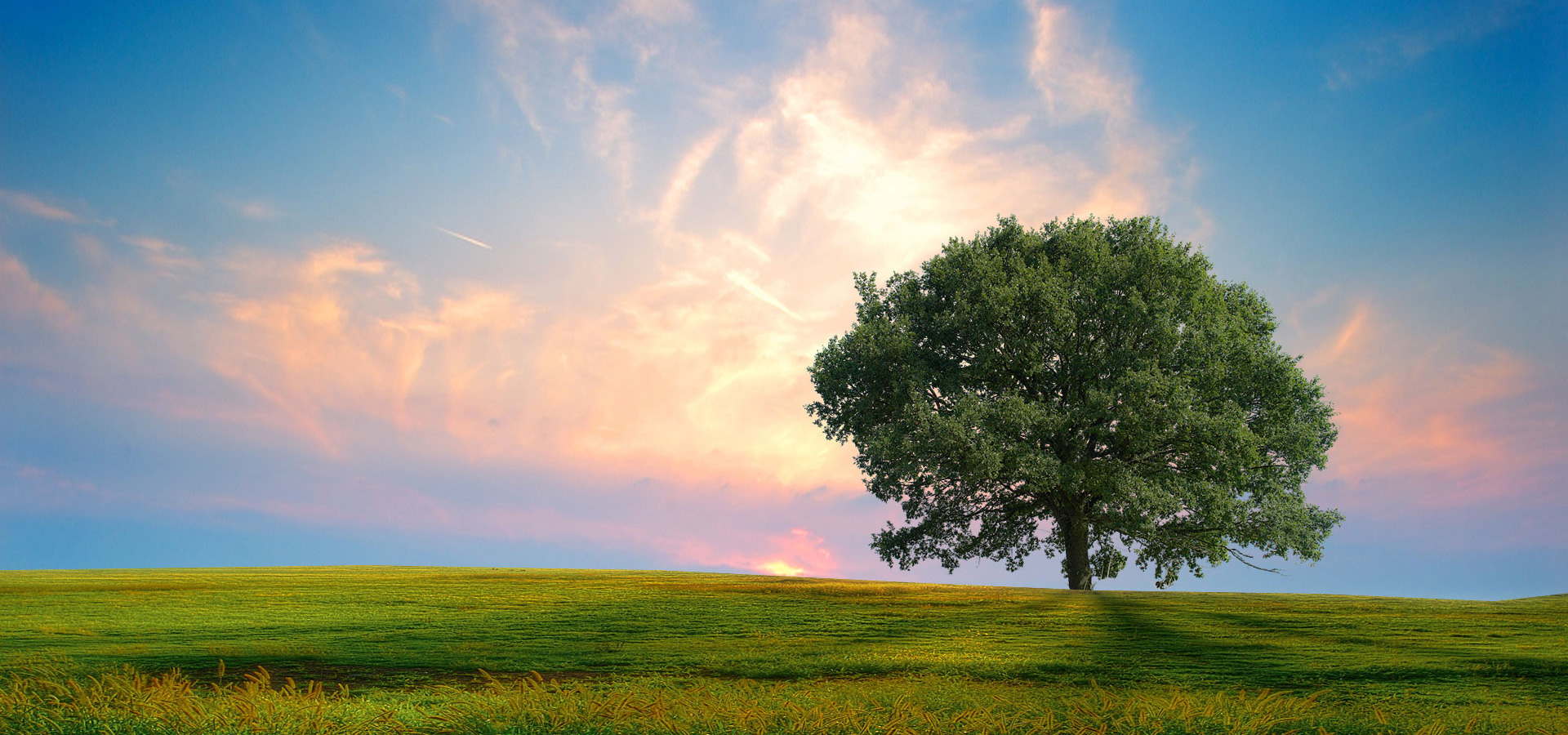 超宽,全景,风景,碧绿草原,落日余晖,mlgb,儿童桌面专用