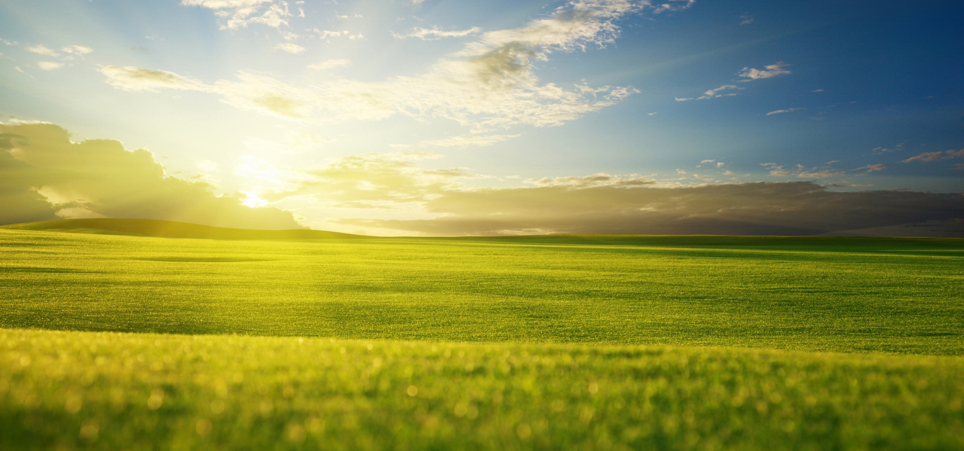 超宽,全景,风景,落日余晖,碧绿草原,mlgb,儿童桌面专用