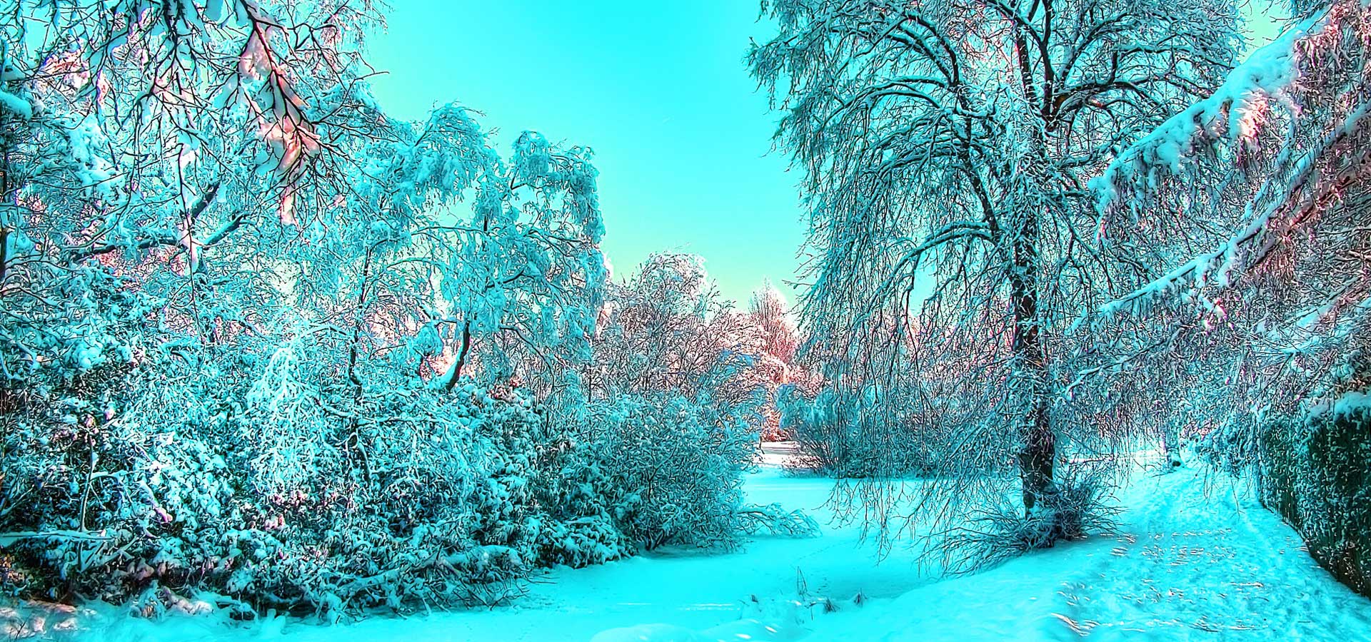 超宽,全景,风景,冰天雪地,mlgb,儿童桌面专用