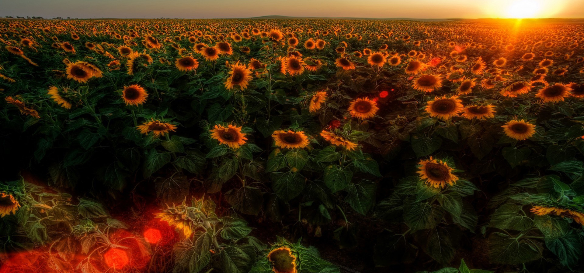 超宽,全景,风景,春意盎然,mlgb,儿童桌面专用