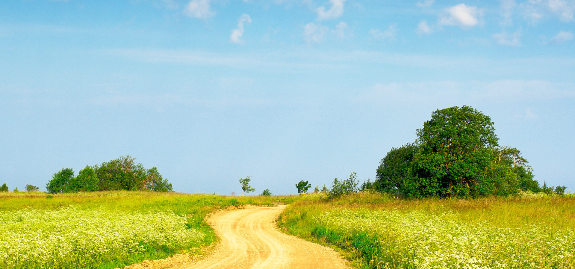 超宽,全景,风景,碧绿草原,mlgb,儿童桌面专用